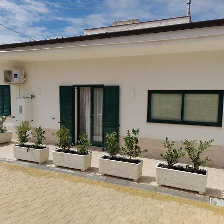 Appartement Alla Palma à Alcamo Extérieur photo